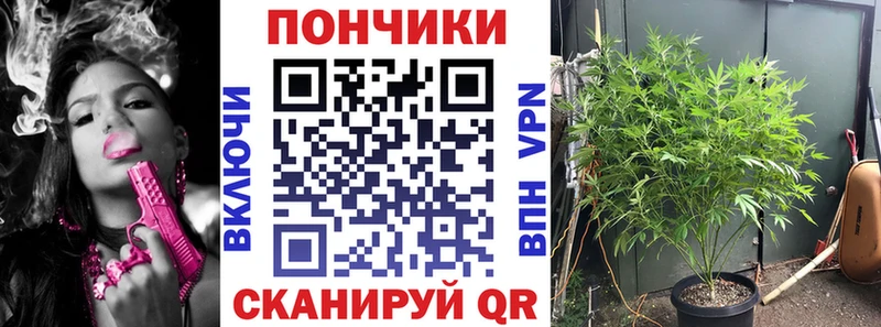 Шишки марихуана гибрид  Купить  Семикаракорск 
